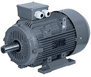 motor-electric-trifazat-b3-techwerk