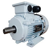 motor-electric-trifazat-b3-techwerk