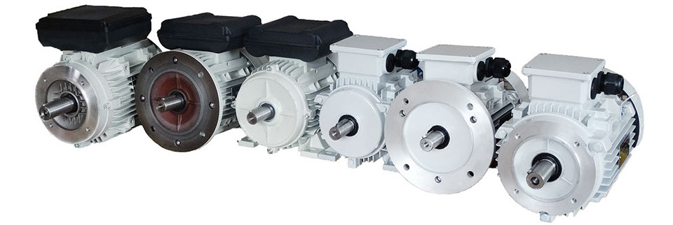 Ansambu motoare electrice monofazate trifazate Techwerk