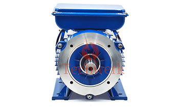 poza motor electric monofazat flansa mica germania lateral