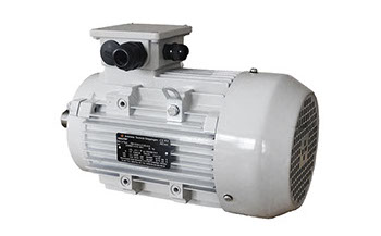 poza motor electric trifazat germania lateral